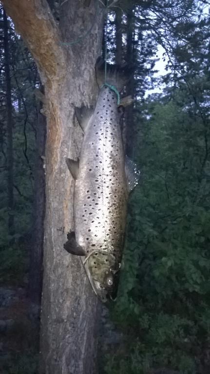 Inari Juutua Villa Eksteriør billede